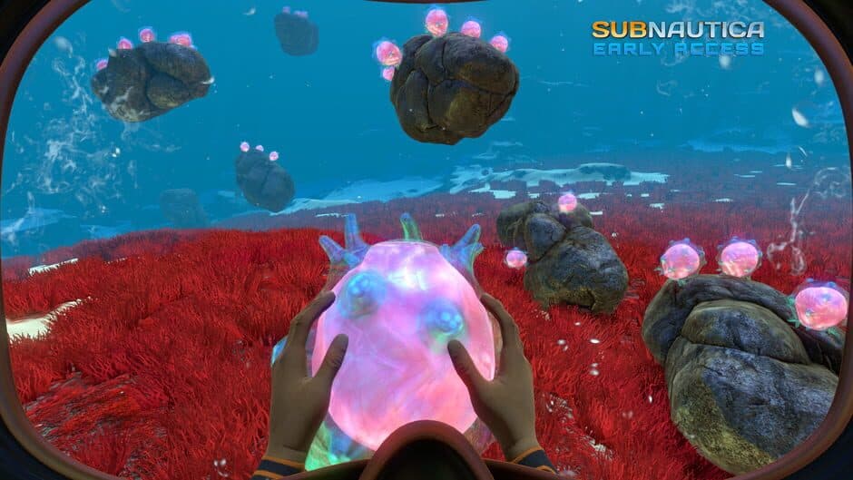 Subnautica - Captura 5