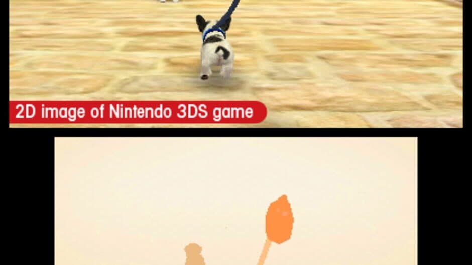 Nintendogs + Cats: French Bulldog & New Friends - Captura 3