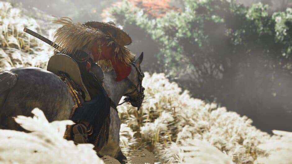 Ghost of Tsushima - Captura 9