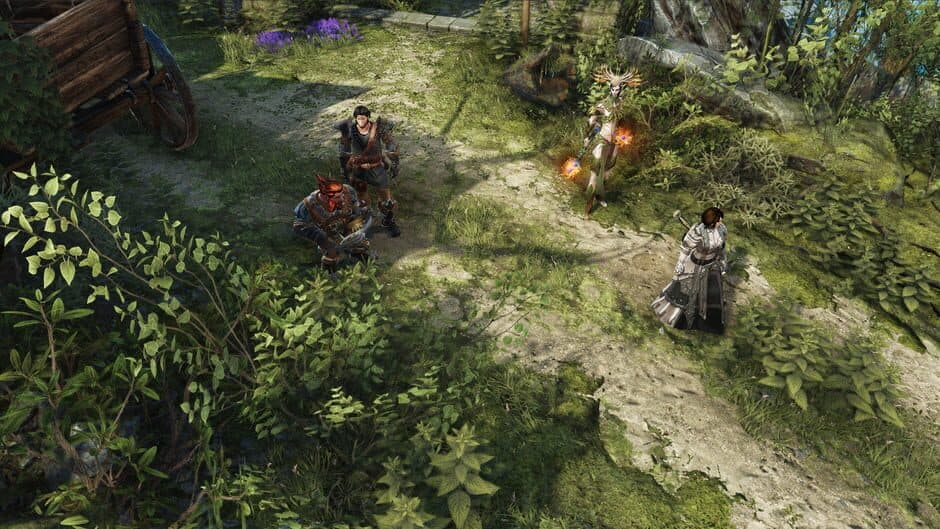 Divinity: Original Sin II - Captura 5