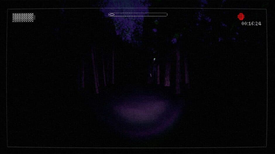 Slender: The Arrival - Captura 9