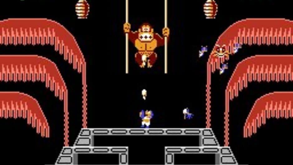 Donkey Kong 3 - Captura 5
