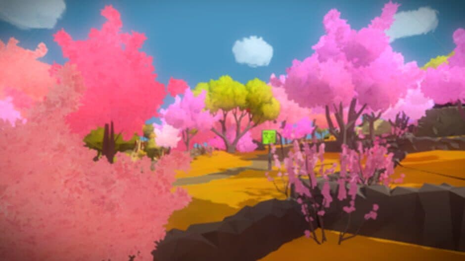 The Witness - Captura 11
