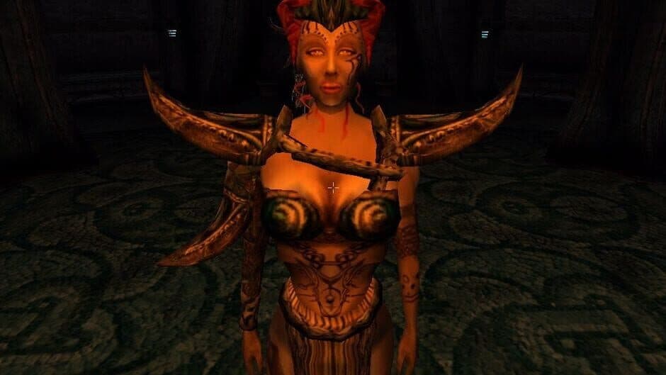 The Elder Scrolls III: Tribunal - Captura 1