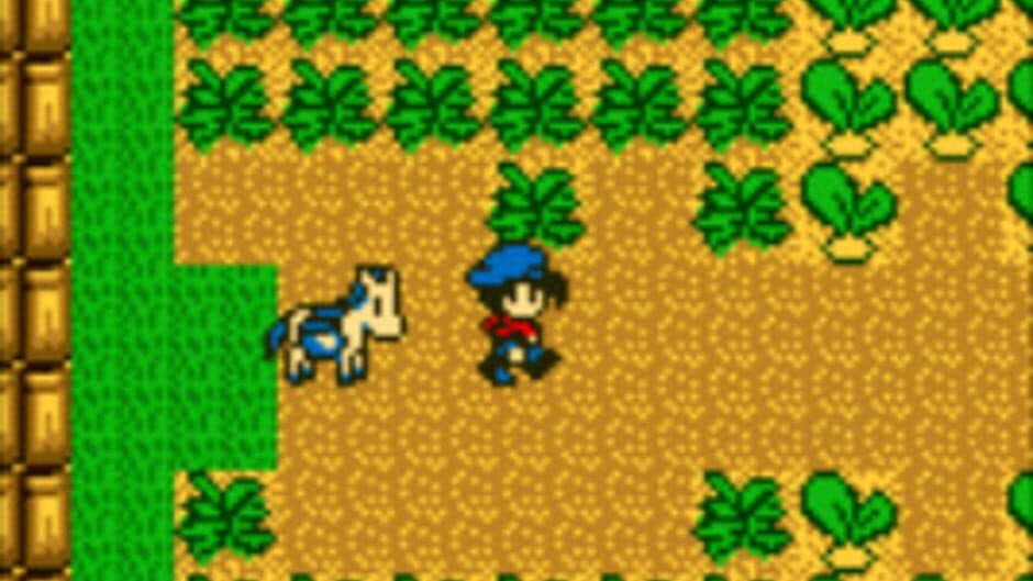 Harvest Moon GB - Captura 5
