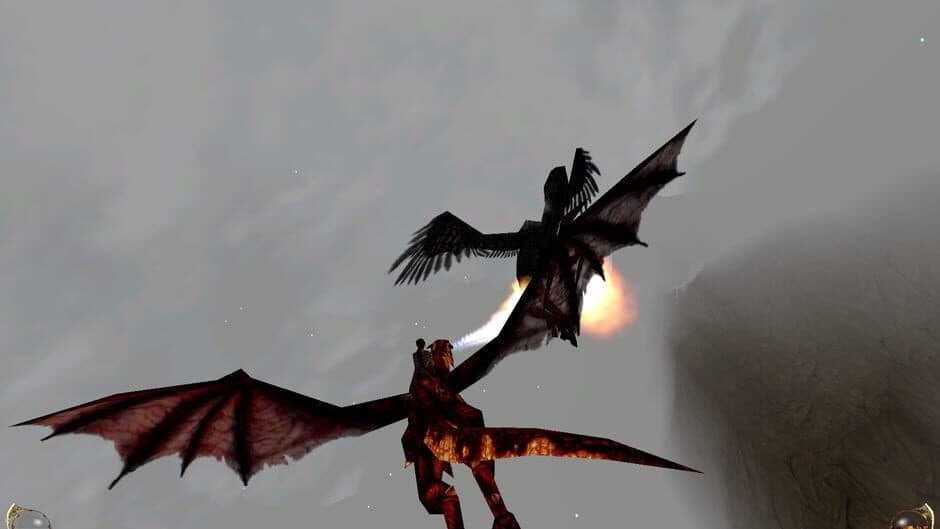 Drakan: Order of the Flame - Captura 4