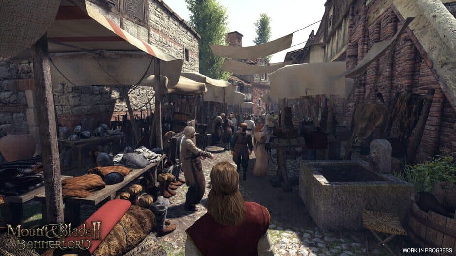 Mount & Blade II: Bannerlord - Captura 10