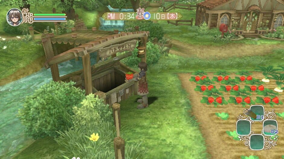 Rune Factory Frontier - Captura 3