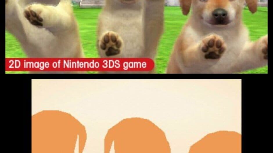 Nintendogs + Cats: Golden Retriever & New Friends - Captura 3
