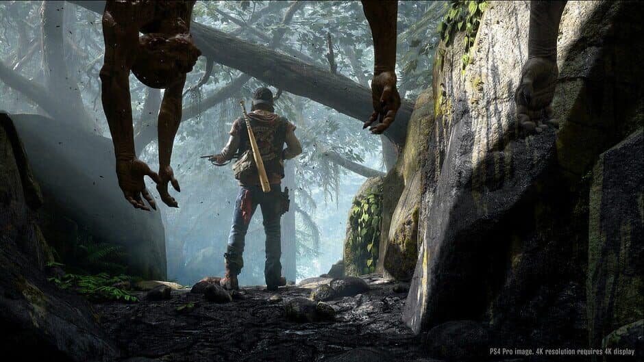 Days Gone - Captura 18