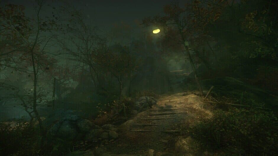The Cursed Forest - Captura 4