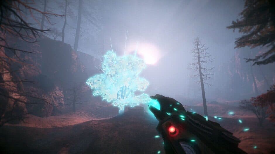Valley - Captura 7