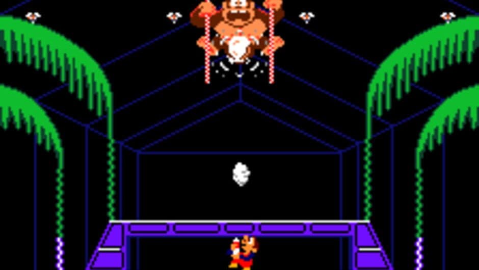 Donkey Kong 3 - Captura 8