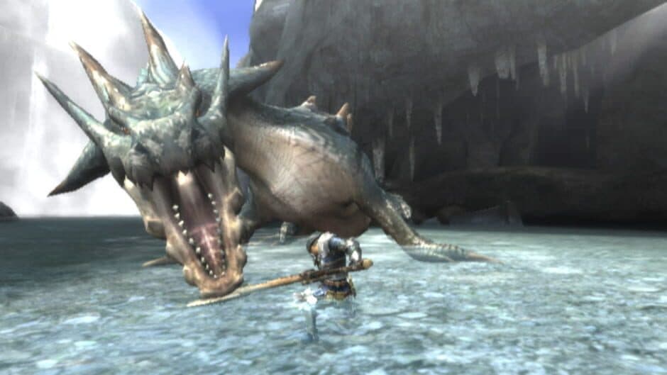 Monster Hunter Tri - Captura 8