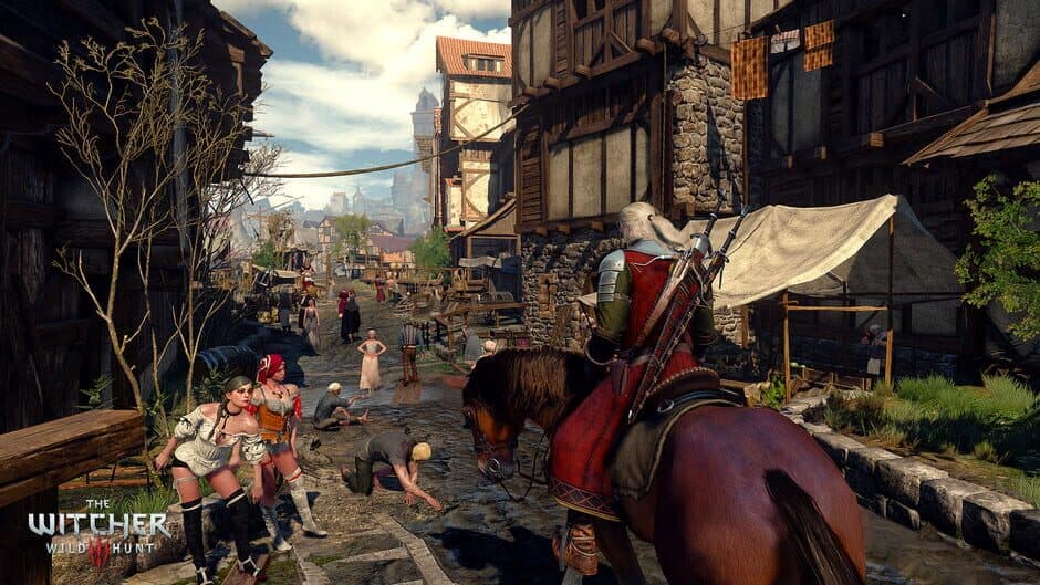 The Witcher 3: Wild Hunt - Captura 26