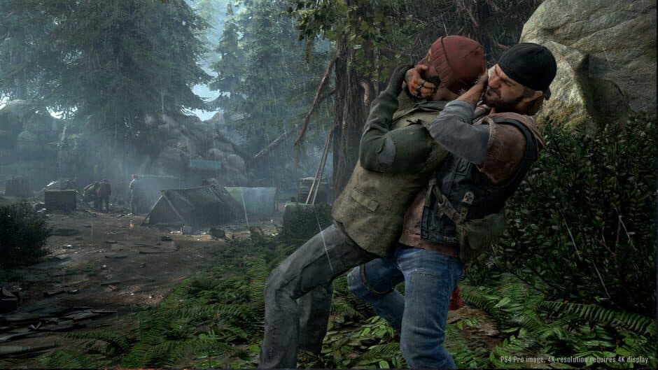 Days Gone - Captura 12