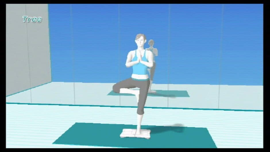Wii Fit - Captura 8