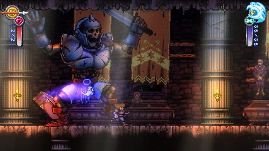 Battle Princess Madelyn - Captura 10