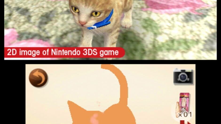 Nintendogs + Cats: French Bulldog & New Friends - Captura 4
