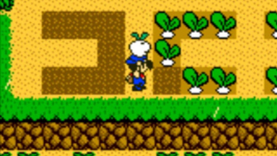 Harvest Moon 3 GBC - Captura 2