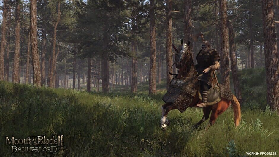 Mount & Blade II: Bannerlord - Captura 8