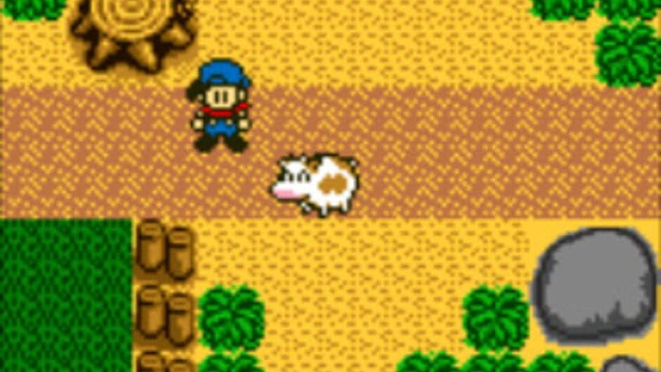 Harvest Moon GB - Captura 3