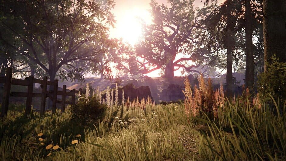 Warhammer: Vermintide 2 - Captura 5