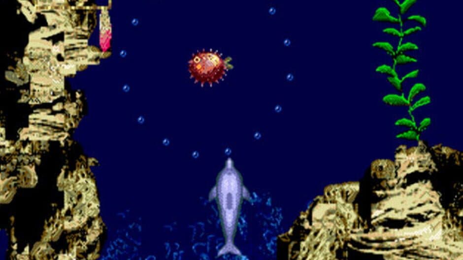 Ecco Jr. - Captura 2