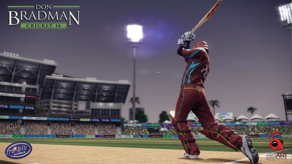 Don Bradman Cricket 14 - Captura 5