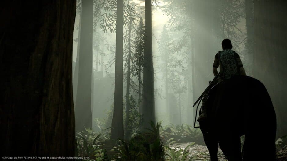 Shadow of the Colossus - Captura 10