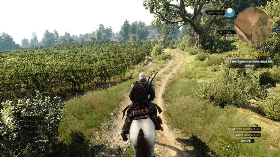 The Witcher 3: Wild Hunt - Hearts of Stone - Captura 4
