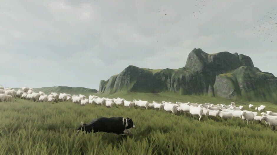 The Free Shepherd - Captura 1