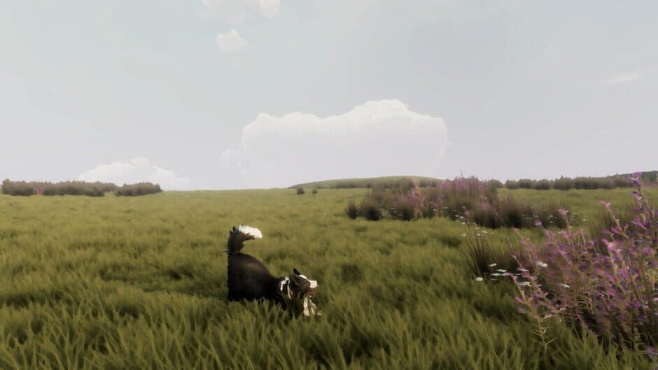 The Free Shepherd - Captura 5