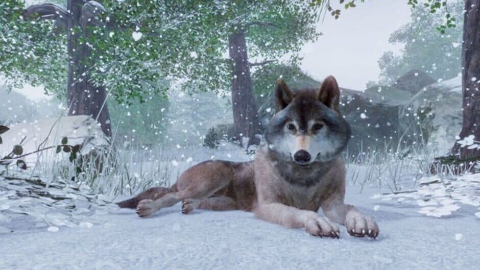 Planet Zoo - Captura 2