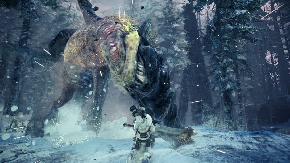 Monster Hunter: World - Iceborne - Captura 6