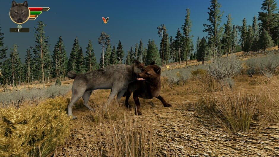 WolfQuest: Anniversary Edition - Captura 2
