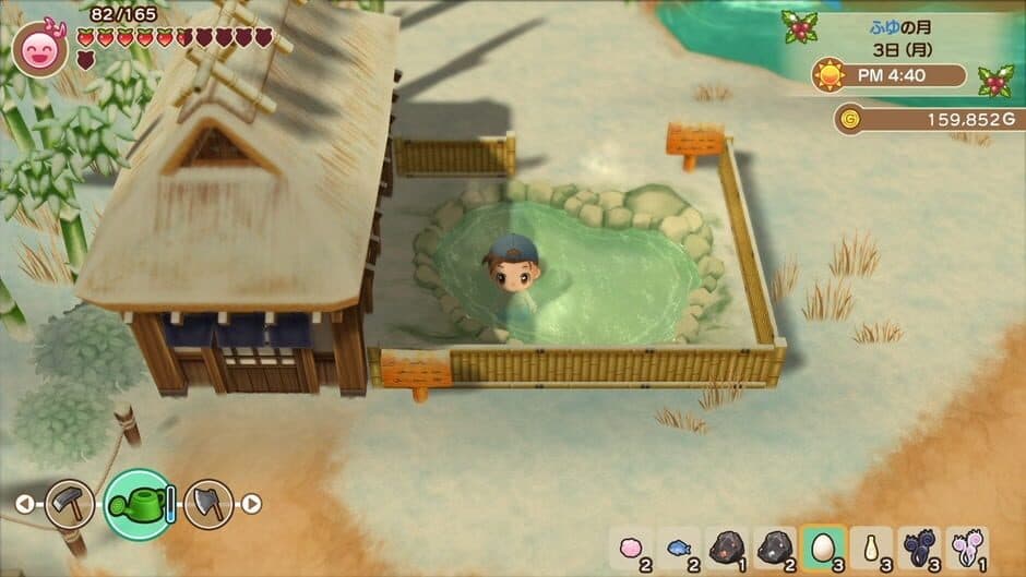 Story of Seasons: Friends of Mineral Town - Captura 5