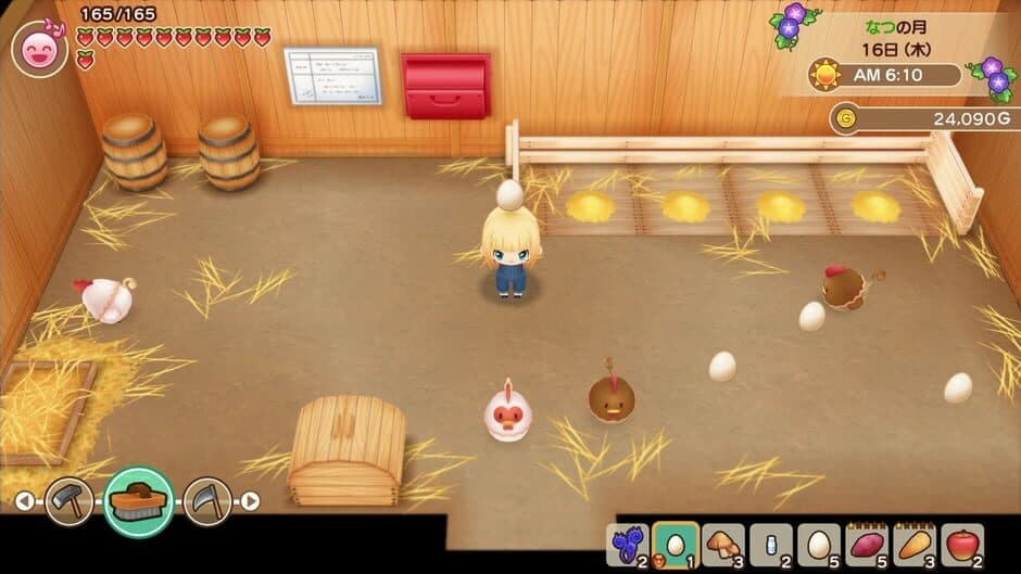Story of Seasons: Friends of Mineral Town - Captura 11