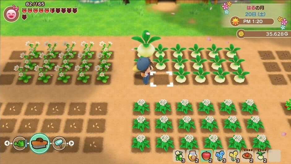 Story of Seasons: Friends of Mineral Town - Captura 4