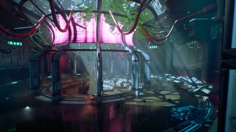 Transient - Captura 3