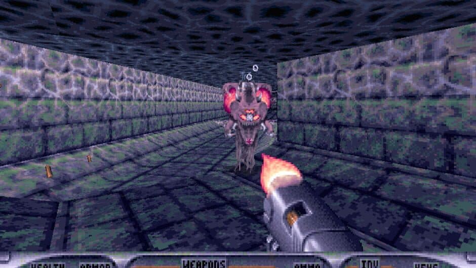 Duke Nukem 3D: Atomic Edition - Captura 1