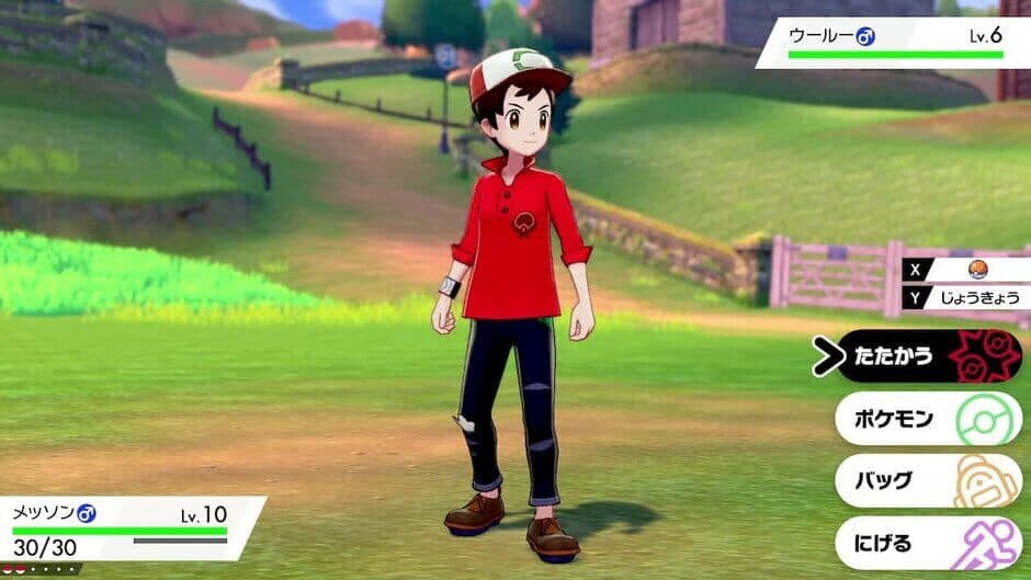 Pokémon Sword Expansion Pass - Captura 2