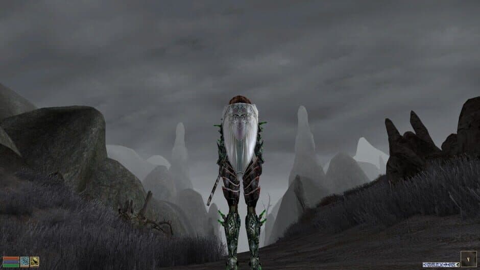 The Elder Scrolls III: Morrowind - Captura 9