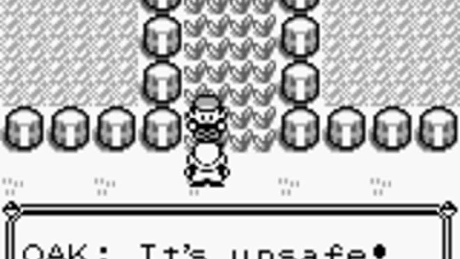 Pokémon Red Version - Captura 2
