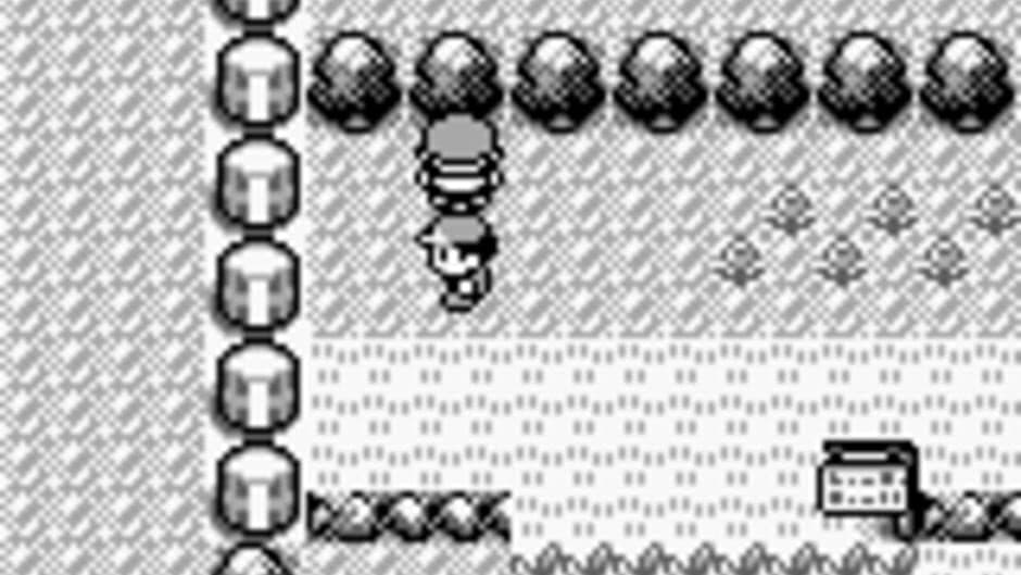 Pokémon Red Version - Captura 1