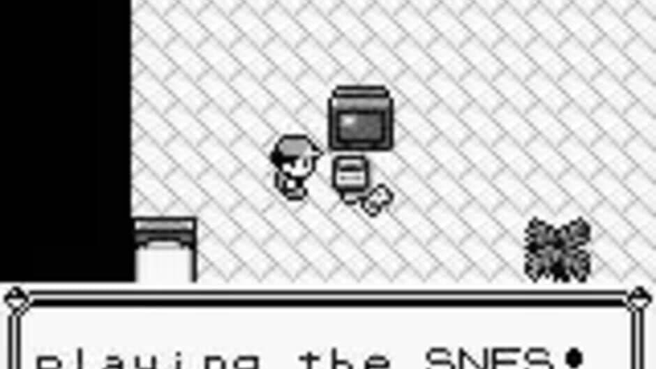 Pokémon Blue Version - Captura 4