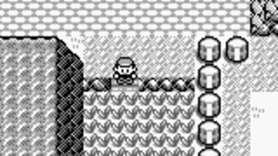 Pokémon Blue Version - Captura 2