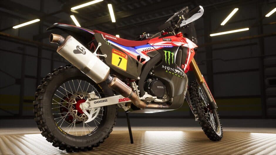 Dakar Desert Rally - Captura 9