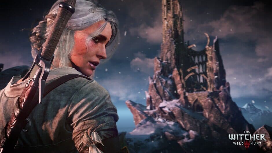 The Witcher 3: Wild Hunt - Captura 22