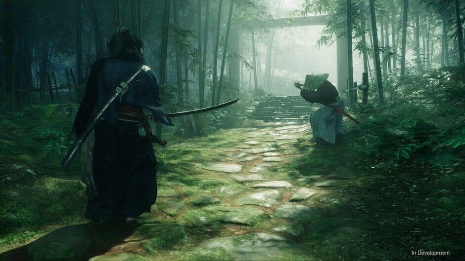 Rise of the Ronin - Captura 6